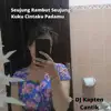 DJ Kapten Cantik - Seujung Rambut Seujung Kuku Cintaku Padamu - Single